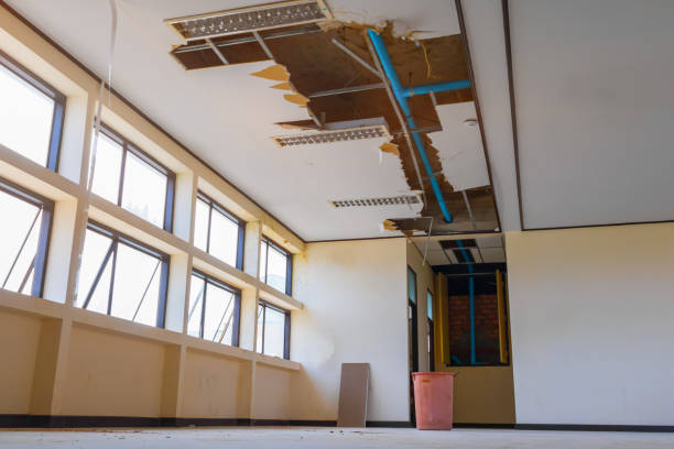 Best Basement water damage restoration  in Jensen Beach, FL