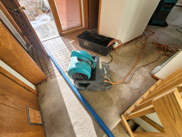  Jensen Beach, FL Water damage restoration Pros