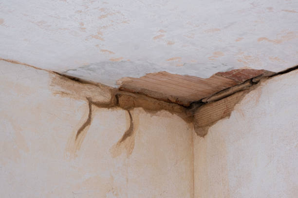 Best Flood damage cleanup  in Jensen Beach, FL