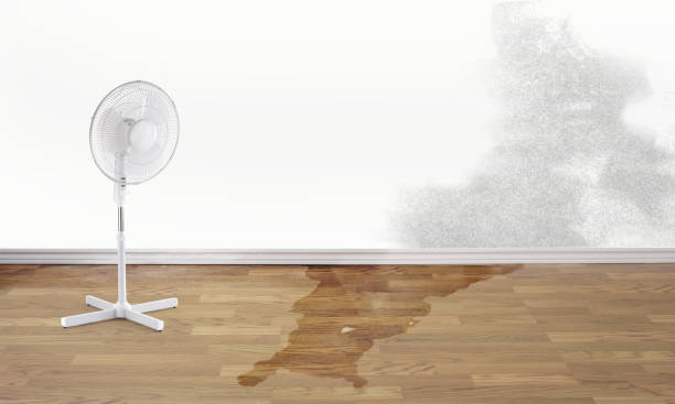 Fire Damage Restoration in Jensen Beach, FL