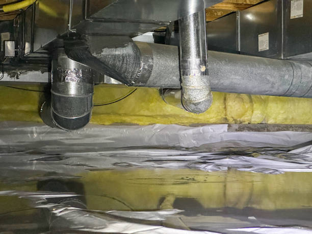 Best Water damage restoration experts  in Jensen Beach, FL