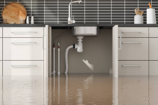 Best Local water damage restoration  in Jensen Beach, FL