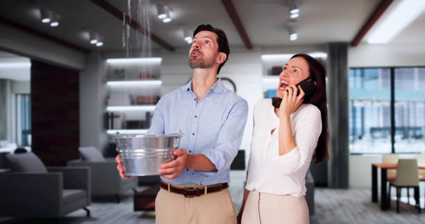 Trusted Jensen Beach, FL Water damage restoration Experts